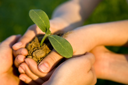 Montrium GXP consulting environmental care